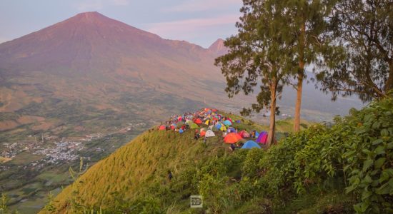 Bukit Pergasingan Hill Sembalun Lombok (5)
